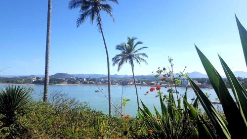 a view of a body of water with palm trees at Chalé Orquídea Praia de Meaípe - Guarapari, Espírito Santo in Guarapari