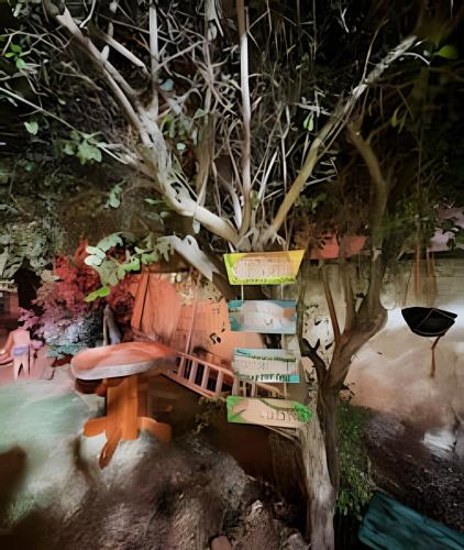 a tree with a bench next to a tree with signs at Casa Jardim jabuticabas na fronteira in Brasiléia