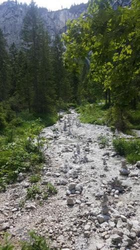 a rocky path in the middle of a forest at Pension Lischenhof in Ehrwald
