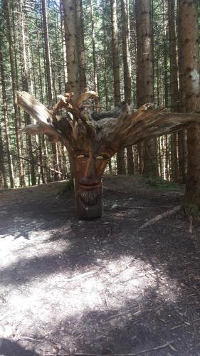 a large piece of wood in the middle of a forest at Pension Lischenhof in Ehrwald