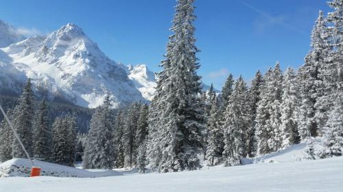 a snow covered forest with a mountain in the background at Pension Lischenhof in Ehrwald