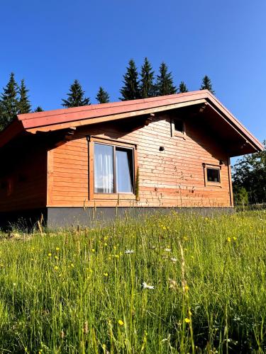 a building with a grassy field in front of it at GomuL in Vorokhta