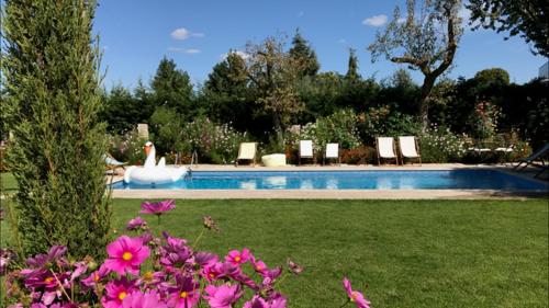 a swimming pool with a swan in a yard at Casa do Lagar in Fataunços