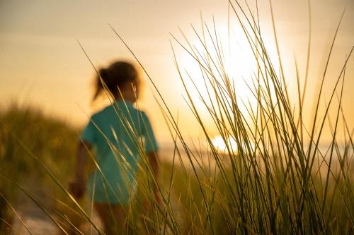 a person walking through tall grass with the sun in the background at Dom Marzeń z jacuzzi pod gwiazdami in Kopalino