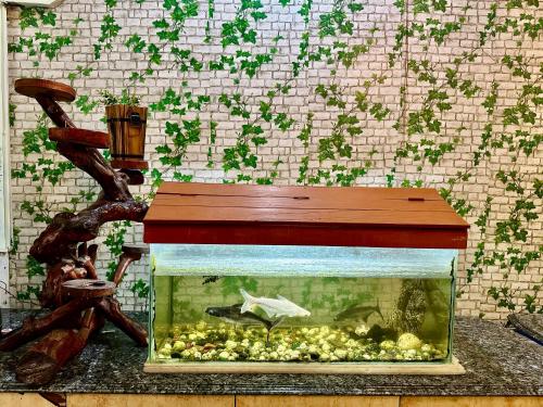 a fish tank with a wooden table on top of it at Green Mysore 2BHK Apartment 1km from railway station in Mysore