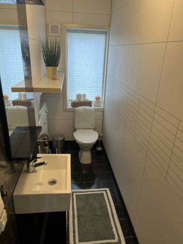 a bathroom with a toilet and a sink and a window at Cozy apartment close to the city center and mountains in Tromsø