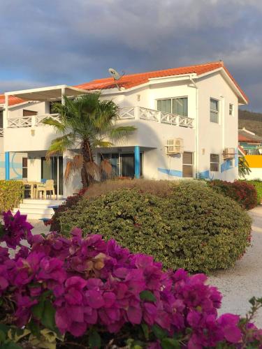 a white house with purple flowers in front of it at Little Slice of Paradise in Westpunt