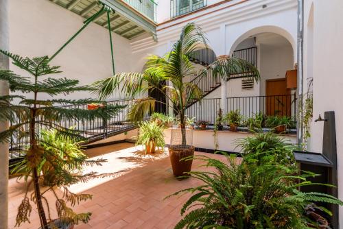 Edomus San Jacinto Duplex