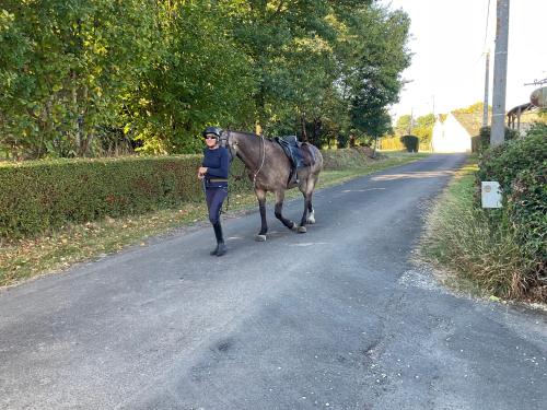 a woman walking a horse down a road at Le Jardin de Rose 24 FEUILLEBERT Romagne 86700 in Romagne