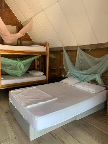 two bunk beds with hammocks in a room at Sauka Loft Hostel in Rincón