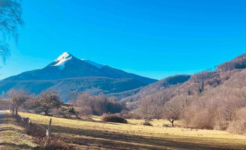 a mountain in the distance with a field and trees at Le Refuge du Cagire in Aspet