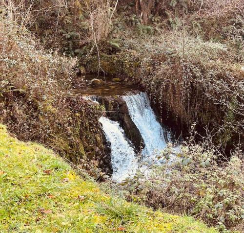 a small waterfall in the middle of a creek at Le Refuge du Cagire in Aspet