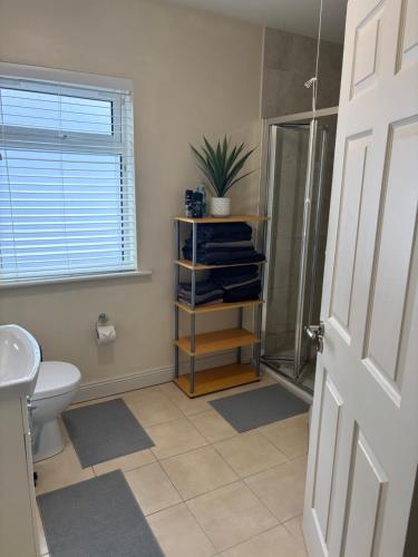 a bathroom with a shower and a toilet and a sink at Carrick - Town Centre Apartment in Carrick on Shannon