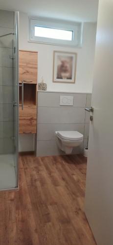 Un baño con inodoro y ducha de cristal. en Gemütliches Ferienapartment Für jedes Budget, en Horhausen