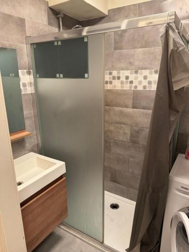 a bathroom with a shower and a sink and a toilet at Le petit Cocon in Dilbeek
