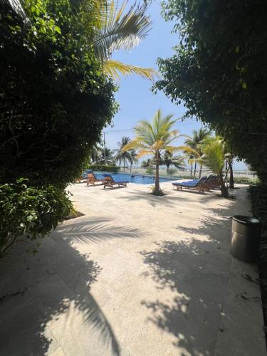 a beach with benches and palm trees and the ocean at Morros Vitri directo al Mar in Cartagena de Indias