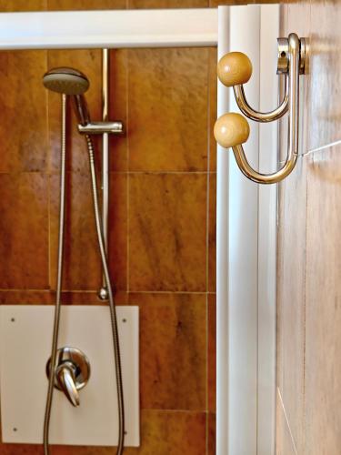 a shower with a shower head in a bathroom at Residence Les Coupoles in Champoluc