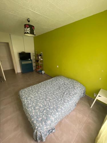 a bed in a room with a green wall at Occitania in Béziers