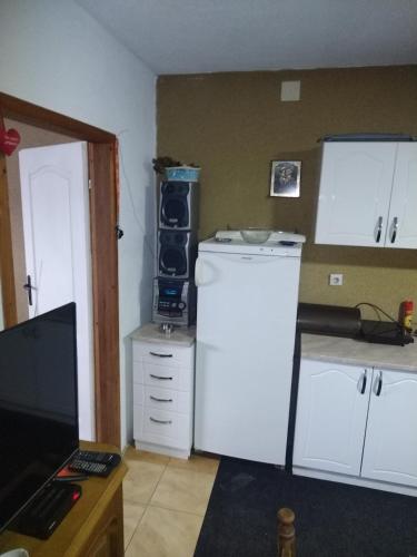 a kitchen with a white refrigerator and a tv at Stefke in Lučani