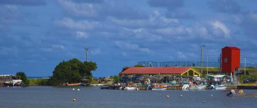 a dock with boats in the water next to a building at La Fleur Doré Studio in Le Vauclin
