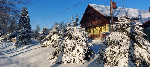 a cabin with snow covered trees in front of it at chalupa Slunovrat in Hroznětín