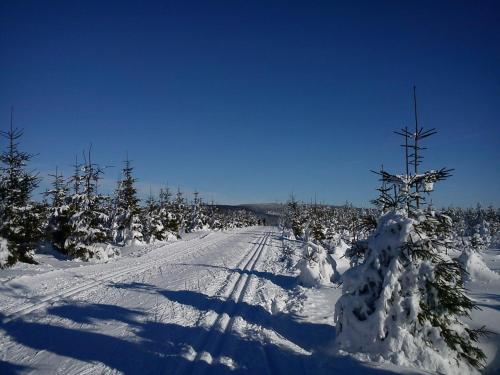 a snow covered road with a snow covered tree at chalupa Slunovrat in Hroznětín