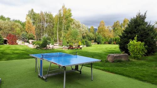 a ping pong table in the middle of a yard at chalupa Slunovrat in Hroznětín
