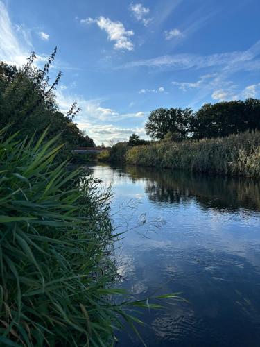 a river with grass on the side of it at Ferienwohnung 70qm - Natur, Fitness & SUP am Fluss in Damm