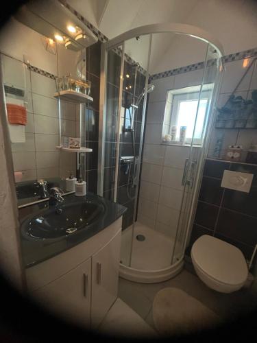 a bathroom with a shower and a sink and a toilet at Suite cosy chez Marie in Ivry-la-Bataille