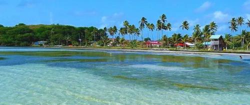 a beach with palm trees in the water at La Fleur Dore in Le Vauclin