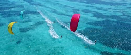 a group of people in the water with kites at La Fleur Dore in Le Vauclin