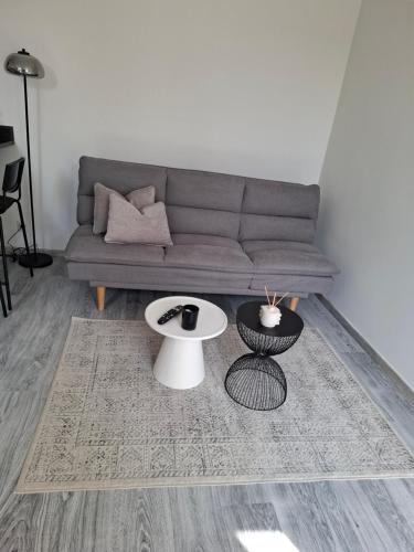 Χώρος καθιστικού στο Appartement cosy proche centre-ville