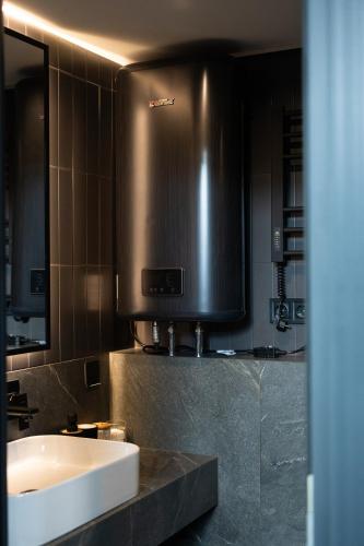 a bathroom with a sink and a large mirror at Bliss Cottage in Slavske