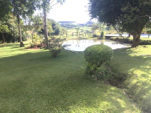 een park met een vijver en een struik in het gras bij Rancho Nippon in Brasilia