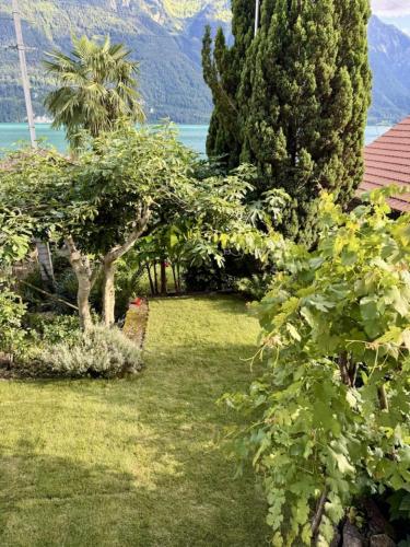 a garden with trees and a lake in the background at Historic Lakeview Swiss Chalet near Interlaken in Niederried