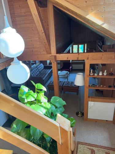 an overhead view of a living room with a house plant at Historic Lakeview Swiss Chalet near Interlaken in Niederried