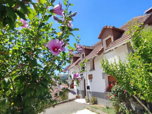 a house with pink flowers on a street at Casa Jabarde in Jaurrieta