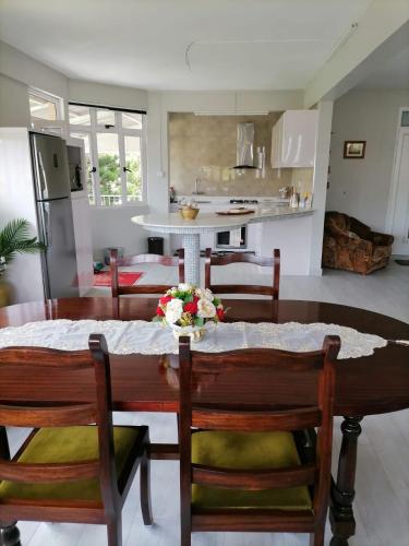 Cuina o zona de cuina de Villa Orchidee