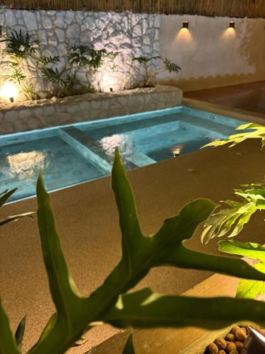 Kolam renang di atau dekat dengan Pousada Pono Village