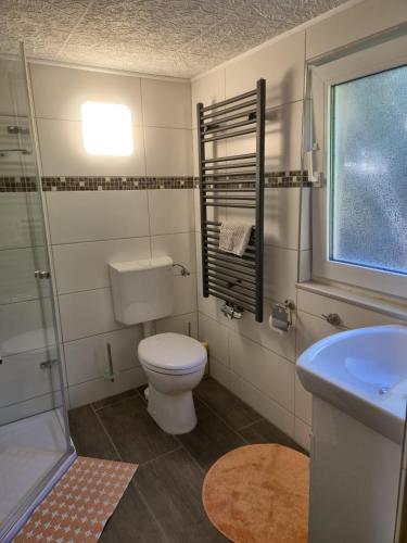 a bathroom with a toilet and a sink and a window at Ferienhaus Eichhörnchen in Dankerode