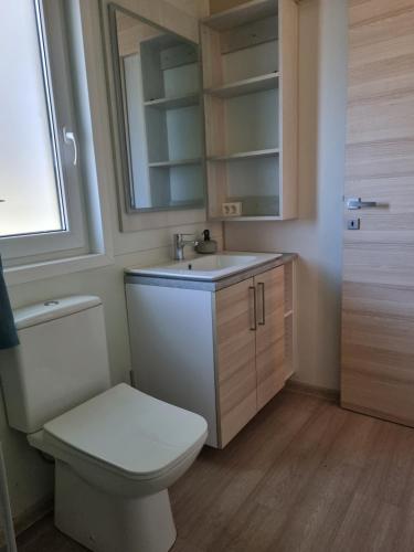 a bathroom with a toilet and a sink and a mirror at Sweet house Pakoštane in Pakoštane