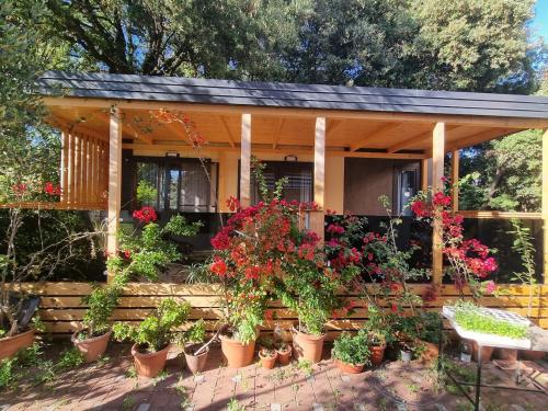 een huis met potplanten ervoor bij Sweet house Pakoštane in Pakoštane