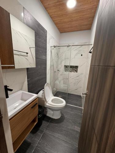 a bathroom with a shower and a toilet and a sink at Aparta Hotel Los Agustinos in Acacías