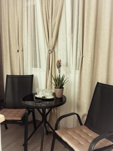 Χώρος καθιστικού στο Mountain View Muscel Apartment