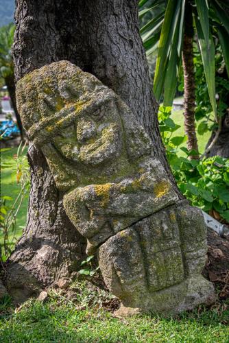 a statue of a face sitting next to a tree at Posada del Tepozteco - Hotel & Gallery in Tepoztlán