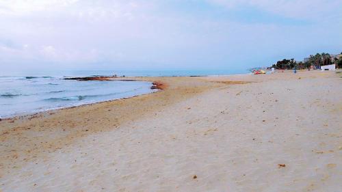 Paysage naturel près de l'appartement