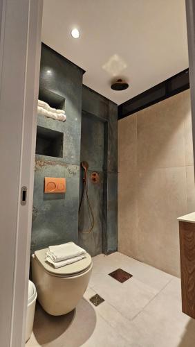 a bathroom with a toilet and a shower at פאטיו אילת in Eilat