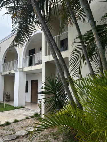 a white building with palm trees in front of it at Hotel y Hostal Casa Don Alfonso in Valladolid