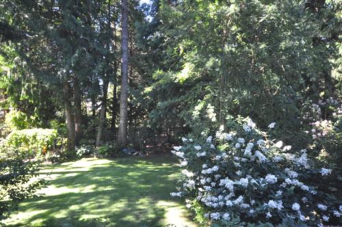 a garden with blue hydrangeas and trees at Garden House in Courtenay