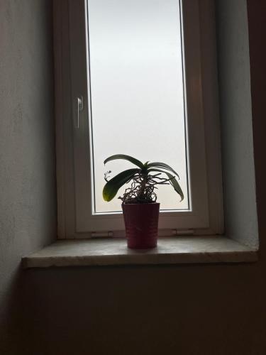 Fotografie z fotogalerie ubytování C' Era Una Volta v destinaci Canelli
